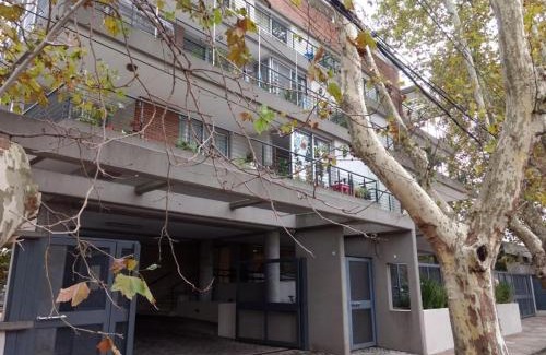 Tigre Apartamento | Tigre Studio Apartment