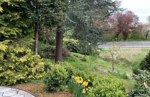 Krautsand Casa | Tiempo libre junto al río