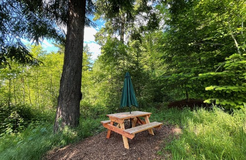 Pleasant Valley Cabina | Tiny A-Frame Farm Meadow Retreat minutes from downtown