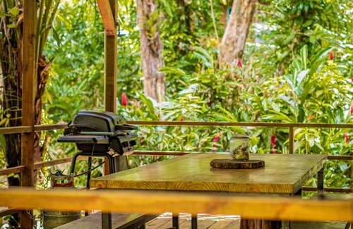 Bocas del Toro Cabina | Tiny home nestled in the jungle near surf, snorkel, and wildlife in Bocas.