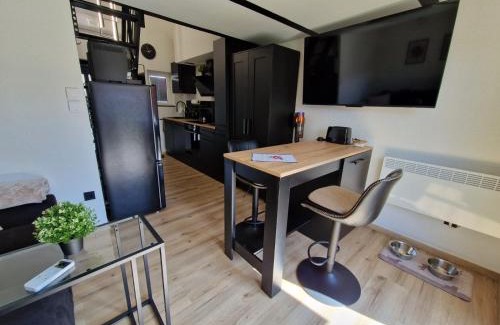 Borken Casa | Tiny House am See Dillich - Hunde willkommen - Eigener eingezäunter Garten - Ruhige Lage - Klima