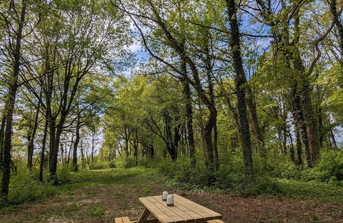 Sonchamp Cabina | Tiny House La Clairière Au Cœur de la Forêt !