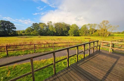 Travenhorst Otro | Tiny House mit Pferdeblick