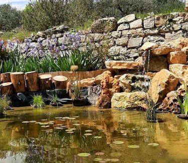 Trans-en-Provence Otro | Tipizen