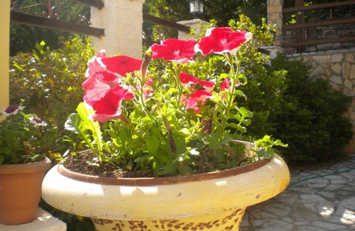 Potamia Casa | To Patriko tou Psillou