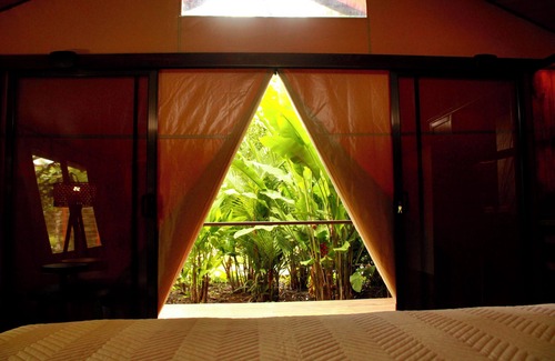 Caño Negro Otro | Tocu Tent Camp - All Meals Included