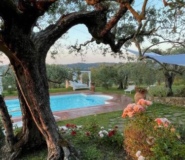 Certaldo Villa | Tognazzi Casa Vacanze - Villa San Martino