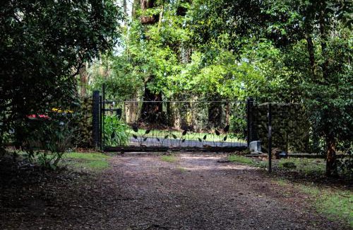 Mount Tomah Cama Y Desayuno | Tomah Retreat - Studio RELAX with fireplace