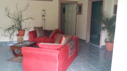 San Isidro de Grecia Apartamento | Top of the Mountain, new American owned Gated modern Lodge