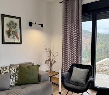 Zlatibor Villa | Tornik view villa Zlatibor 2