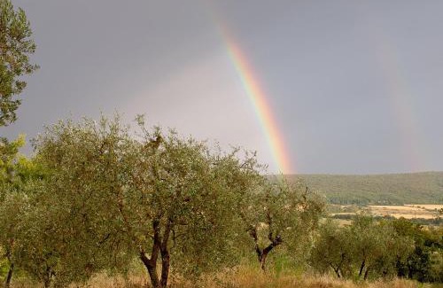 Monteriggioni Cama Y Desayuno | Torre Della Chiocciola
