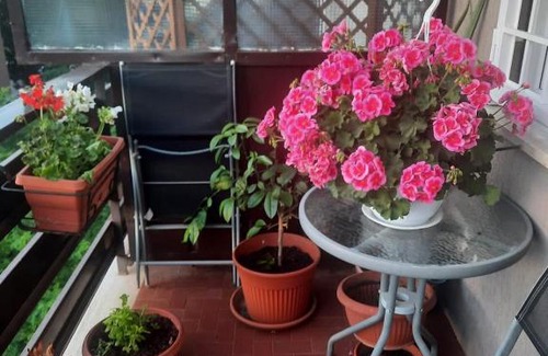 Quartiere XXIV Don Bosco Apartamento | Tourist Accommodation Rome, Cinecittà