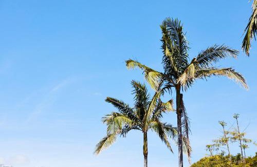 Strathfield Hotel | Town and Country Motel