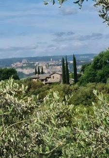 Orvieto Casa | Tra gli ulivi e il panorama