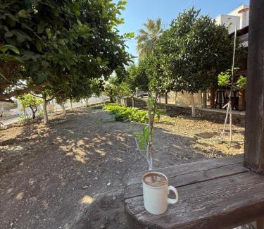 Vation Casa | Traditional Thea Home