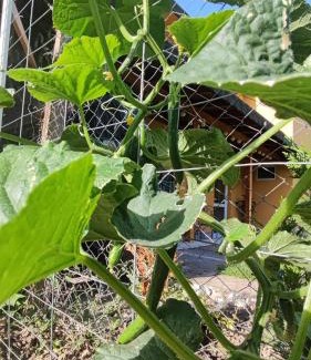 Trakata Apartamento | Trakata Villa Apartments