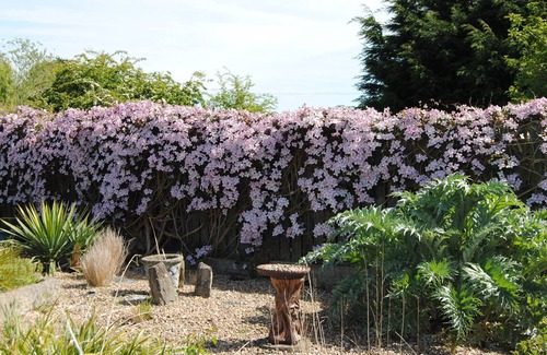 Orston Casa | Tranquil, rural retreat with outstanding views and gardens.