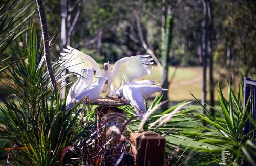 Cedar Creek Casa | Tranquility Ranch by Tiny Away