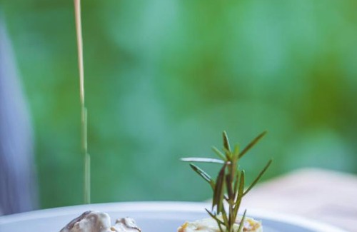 Agva Cabina | Tranquilla River Lodge