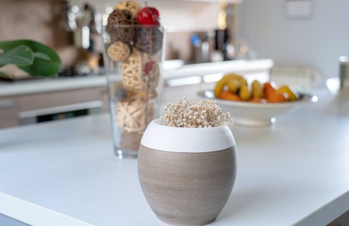 Saint-Drezery Villa | Villa Arquitecto muy brillante en un gran jardín con piscina