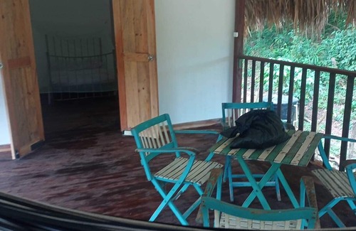 Palomino Cabina | Tranquilo y acogedor.