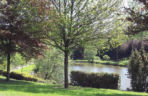 Fauvillers Casa | Traquebois