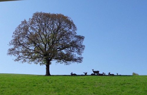Fauvillers Casa | Traquebois