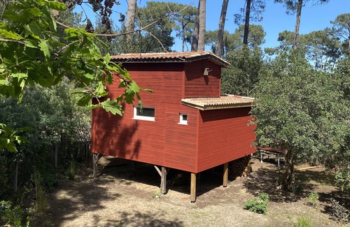 Lacanau Cabina | Traumhaftes Holzhaus auf Stelzen am Lac de Lacanau. Erholung und Natur pur