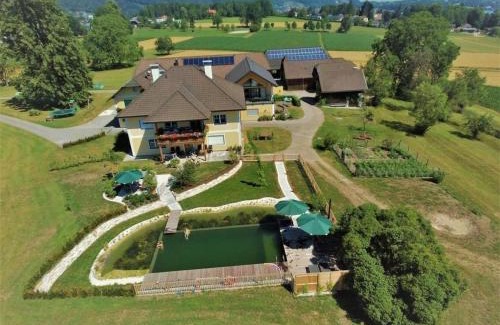 Altmuenster Apartamento | Traunstein