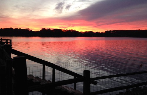 Mayhew Cabaña | Retiro del viajero: ¡agradable privacidad con fantásticas vistas!