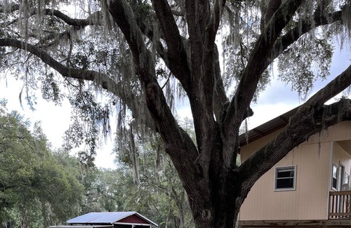 Dunnellon Cabaña | TREE HOUSE! OFF THE GRID STAY! 10 minutes to Rainbow River 20 minutes to WEC