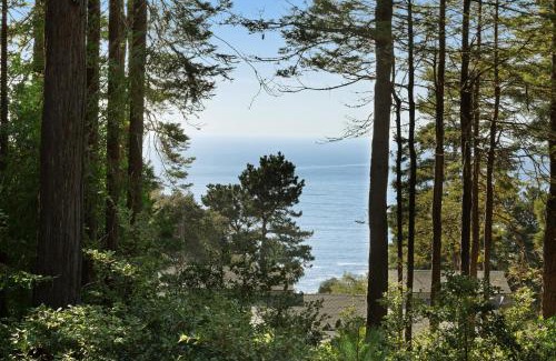 Sea Ranch Casa | Tree House