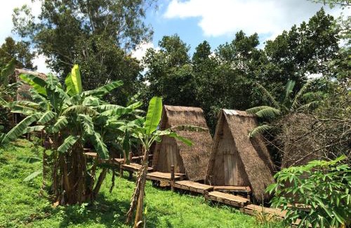 Sen Monorom Cabina | Tree Lodge