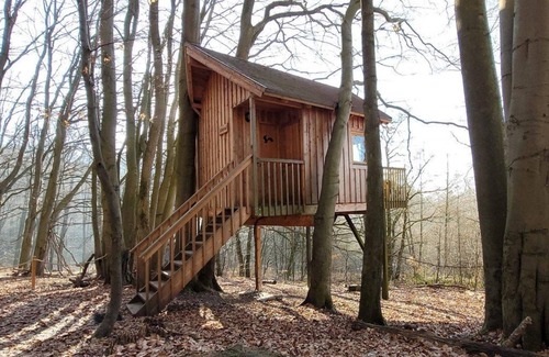 Solling Apartamento | Tree tent beech - Baumhaushotel Solling