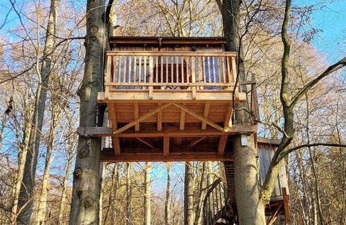 Solling Apartamento | Tree tent beech - Baumhaushotel Solling