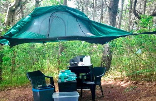 Bakenberg Apartamento | Tree tent Ostseebreeze - Category 1 No. 10 - Ferienpark Bakenberg