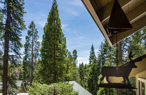 Fish Camp Casa | Tree Top Cabin: 2 millas a la puerta sur de Yosemite.