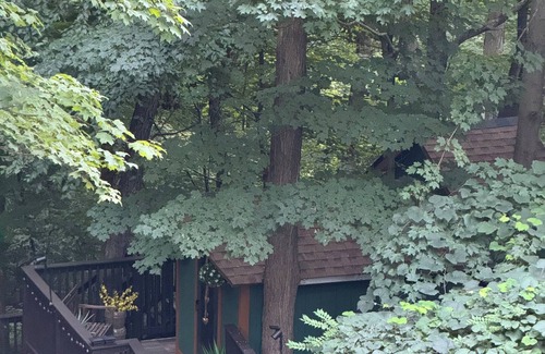 Danbury Cabina | Treehouse Magic & Chic Greenhouse Vibes. Glamping In Style! Middle of Danbury,CT