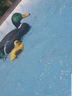 Marsala Casa | Trenasse