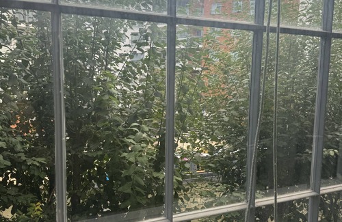 Wolverton Casa | Triangle Building 3 Bedrooms