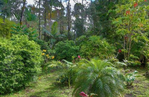 Keaau Casa | Tropical Anuenue Cottage