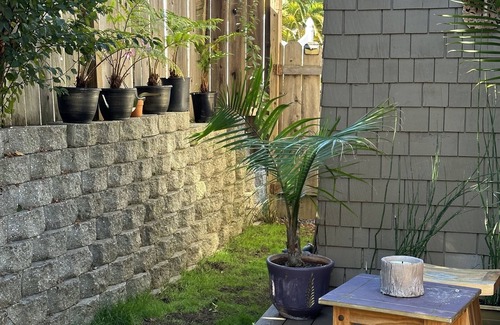 Vallejo Casa | Tropical North Bay Getaway minutes from the San Francisco ferry and Napa.