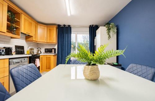 Galway City Centre Casa | Tropical Vibes in the City of Tribes