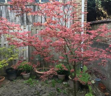 Quartier des Bruyeres Apartamento | True Hospitality