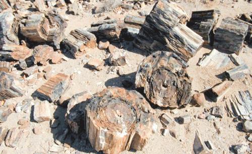 Khorixas Otro | Tsubes Petrified Forest Tented Camp