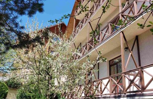 Yaremche Hotel | Tsvit Paporoti