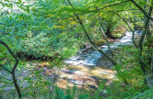 Jefferson Casa | Tucked away in the woods - minutes to the New River - Acreage to explore!