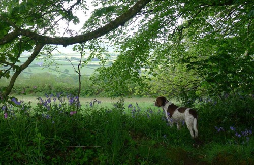 Saint Ann's Chapel Casa | Tuell Farm Cottages