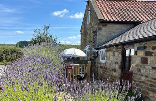 Scawton Casa | Twattleton Cottage Kilburn Yorkshire - Beautiful views