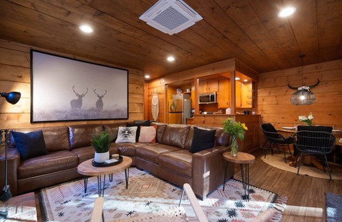 Pine Cove Cabina | Two Magical cabins *Spa, Fireplace, Pet Friendly*